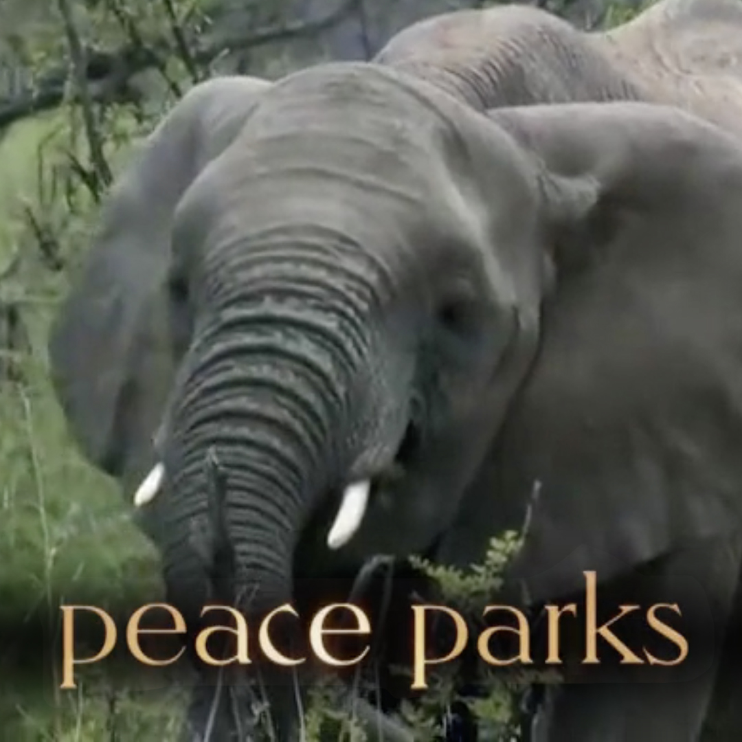 Peace Parks