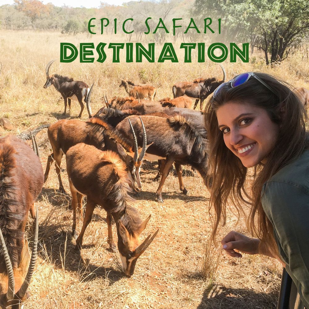 EPIC SAFARI DESTINATIONS