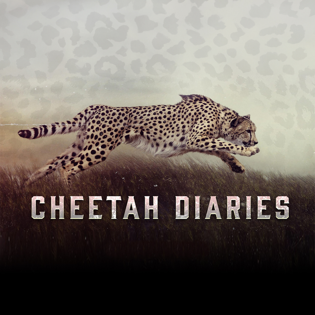 The Cheetah Diaries