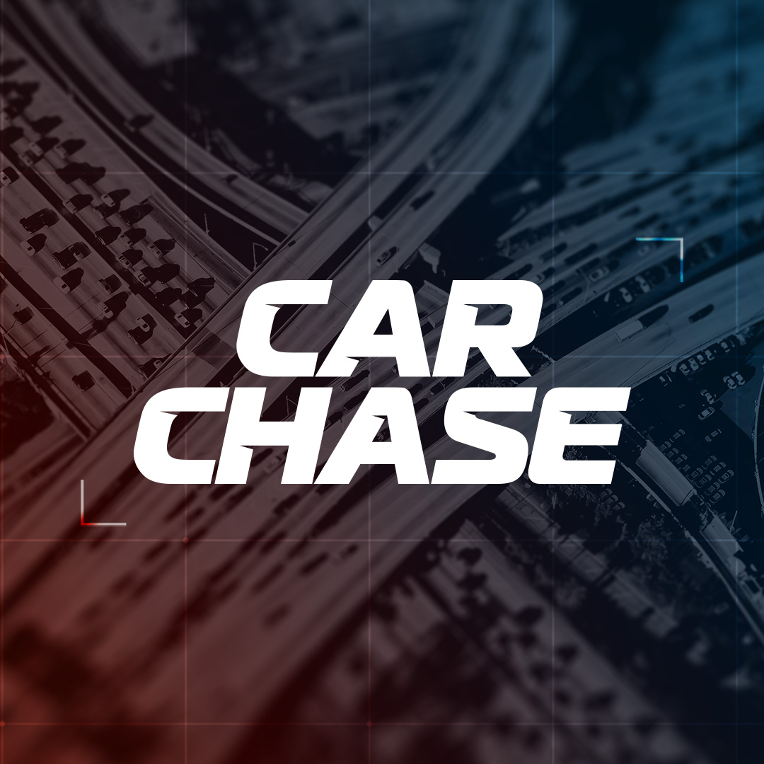 Car Chase - Wild Pursuits: 2013