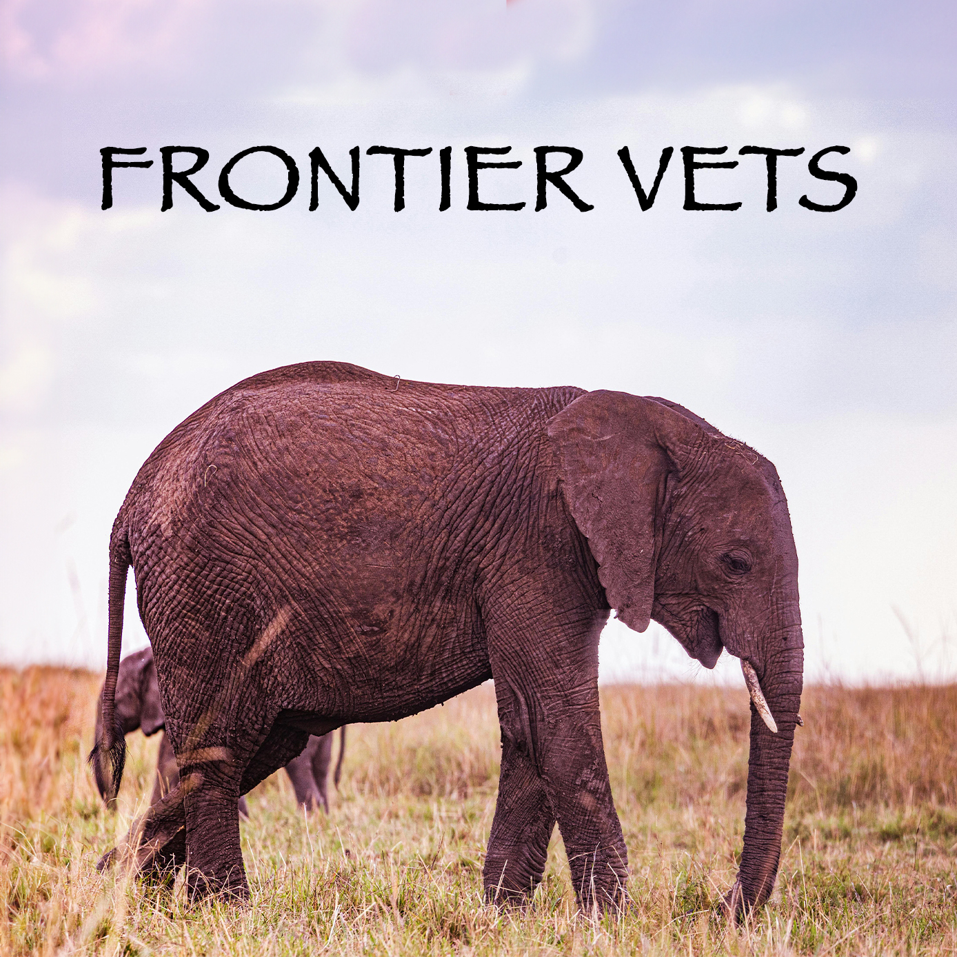Frontier Vets