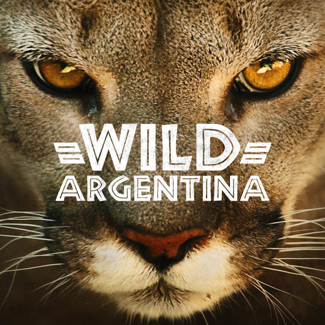 Destination Wild: Wild Argentina