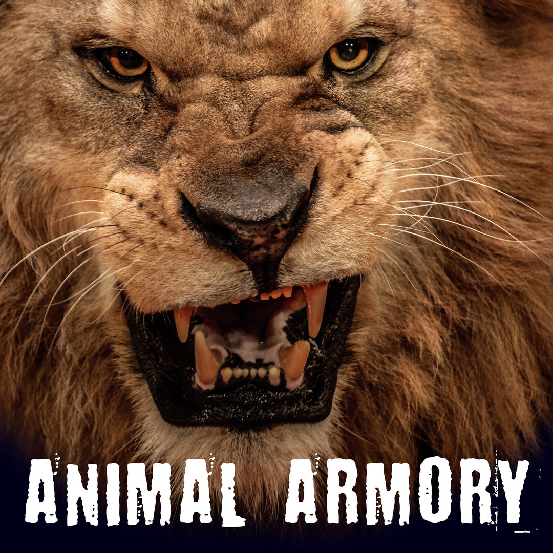 Animal Armory