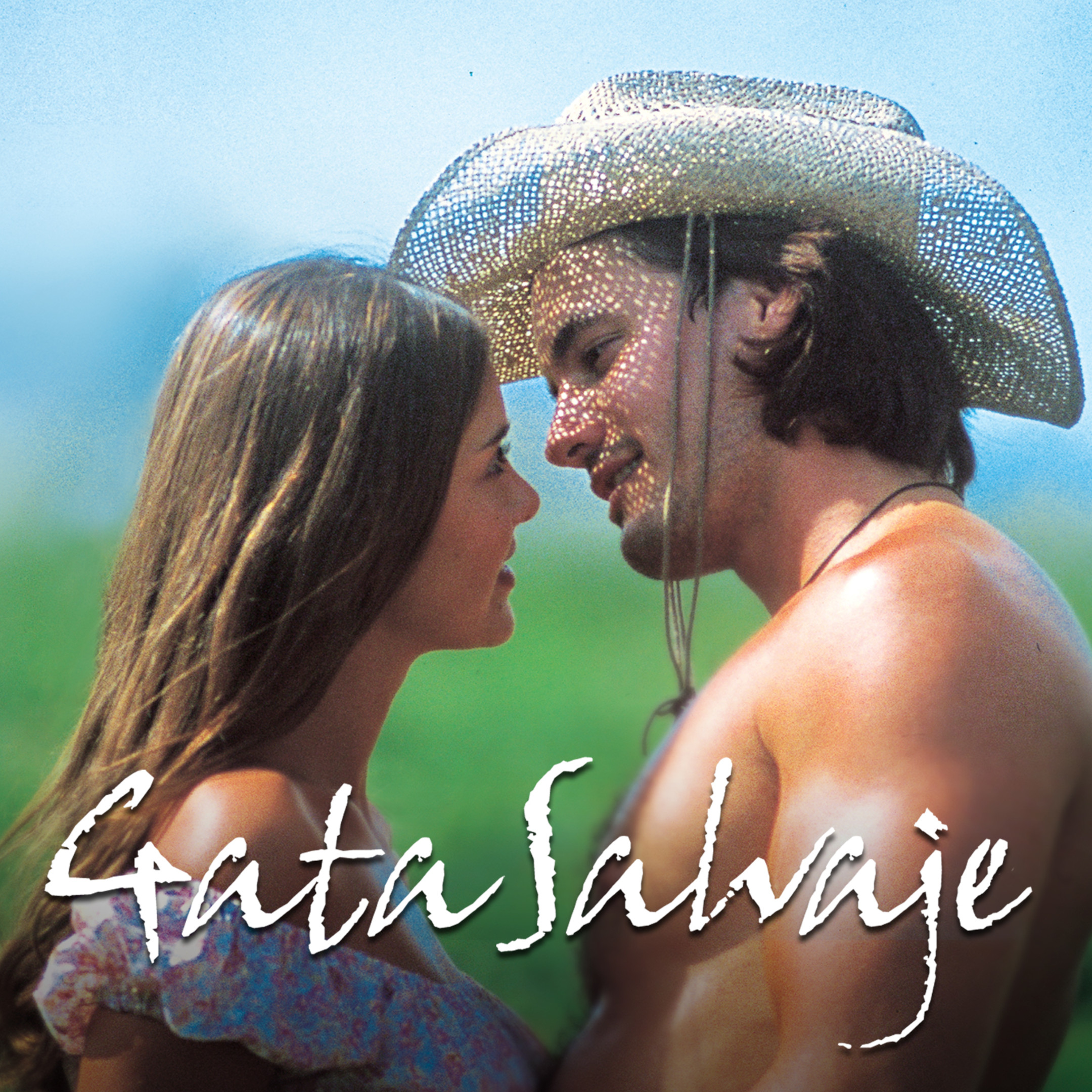 Gata Salvaje