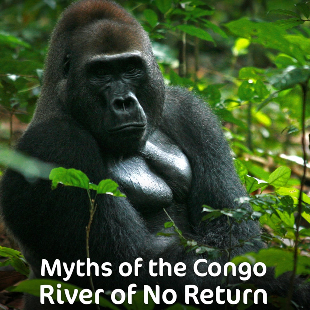 Congo - River of No Return
