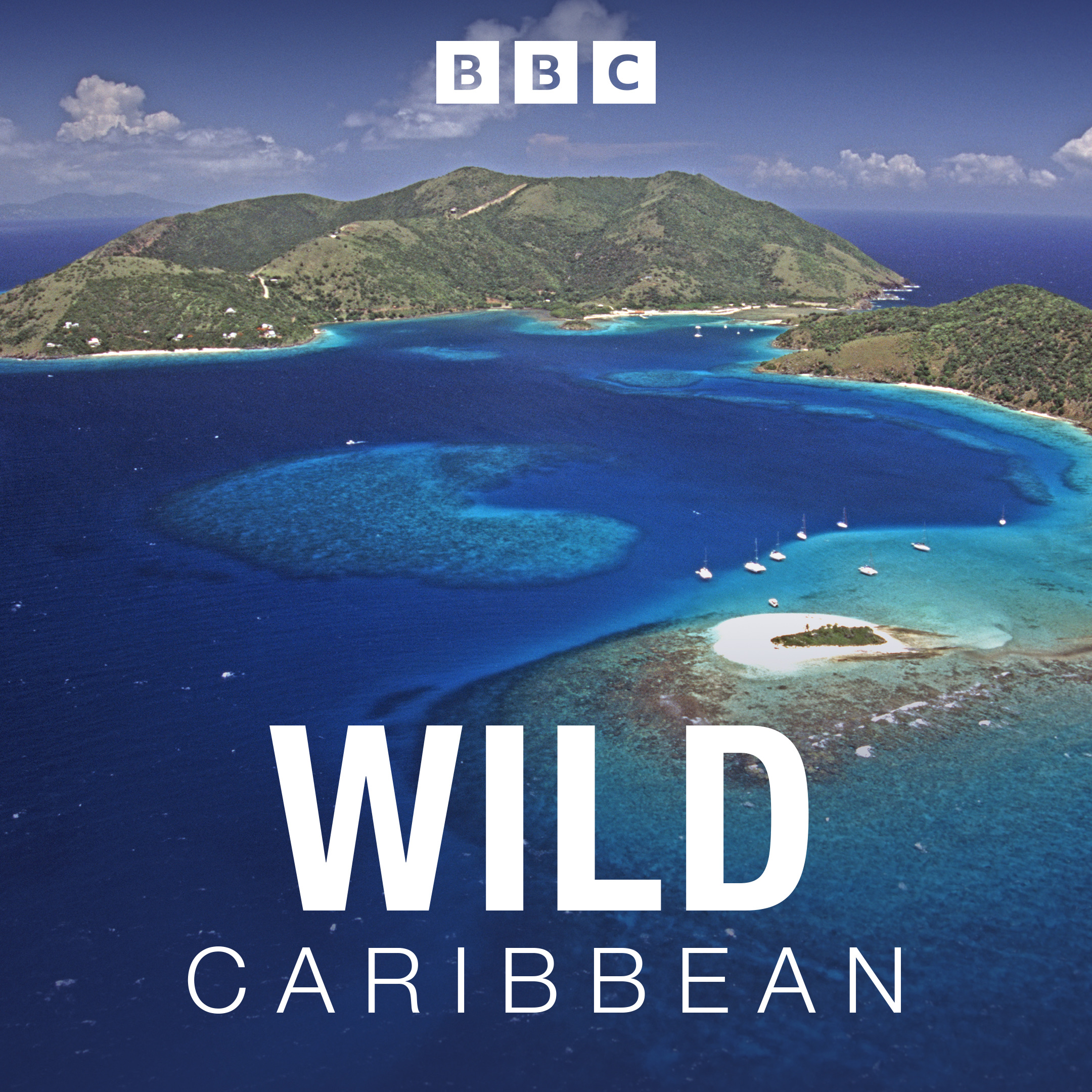 Wild Caribbean