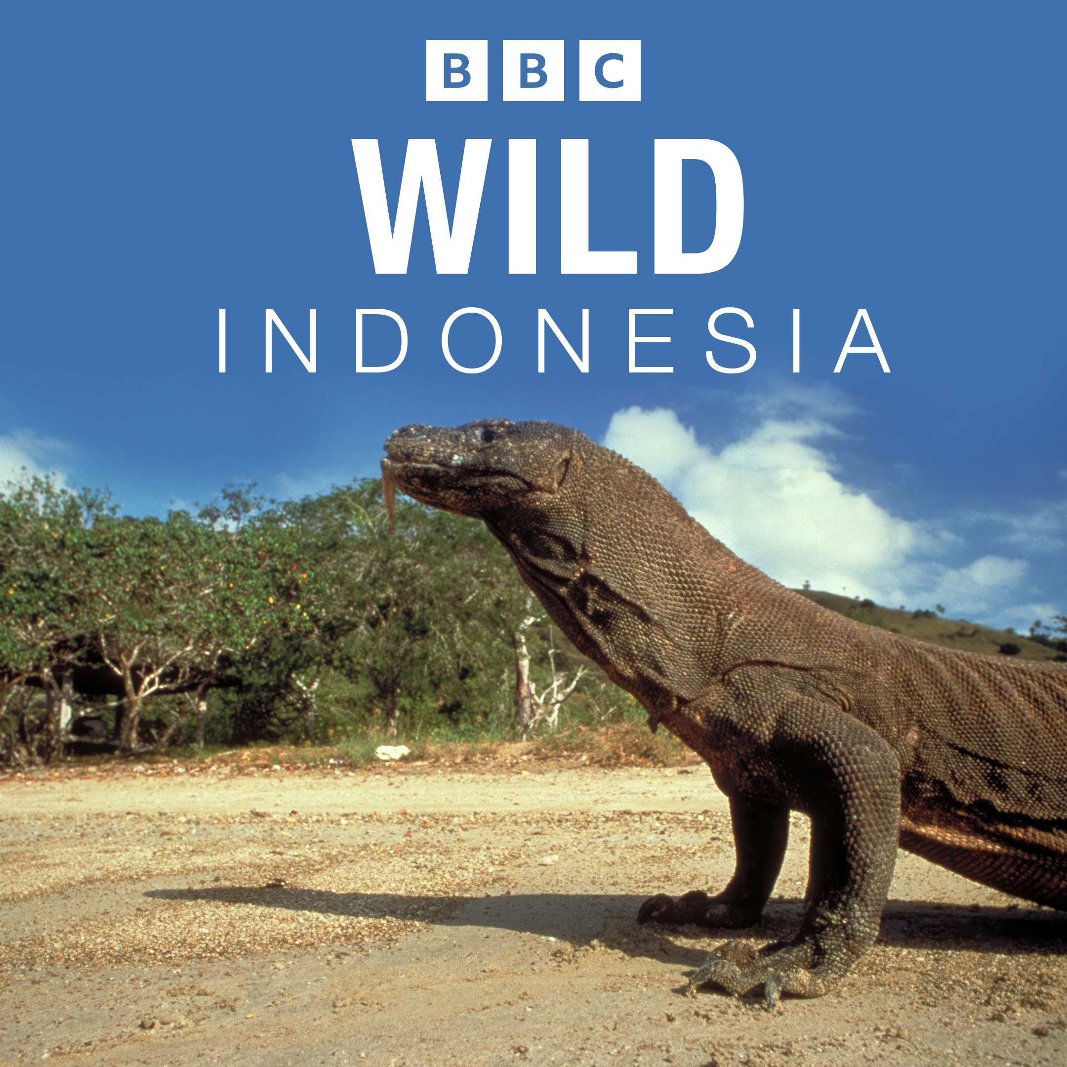 Wild Indonesia