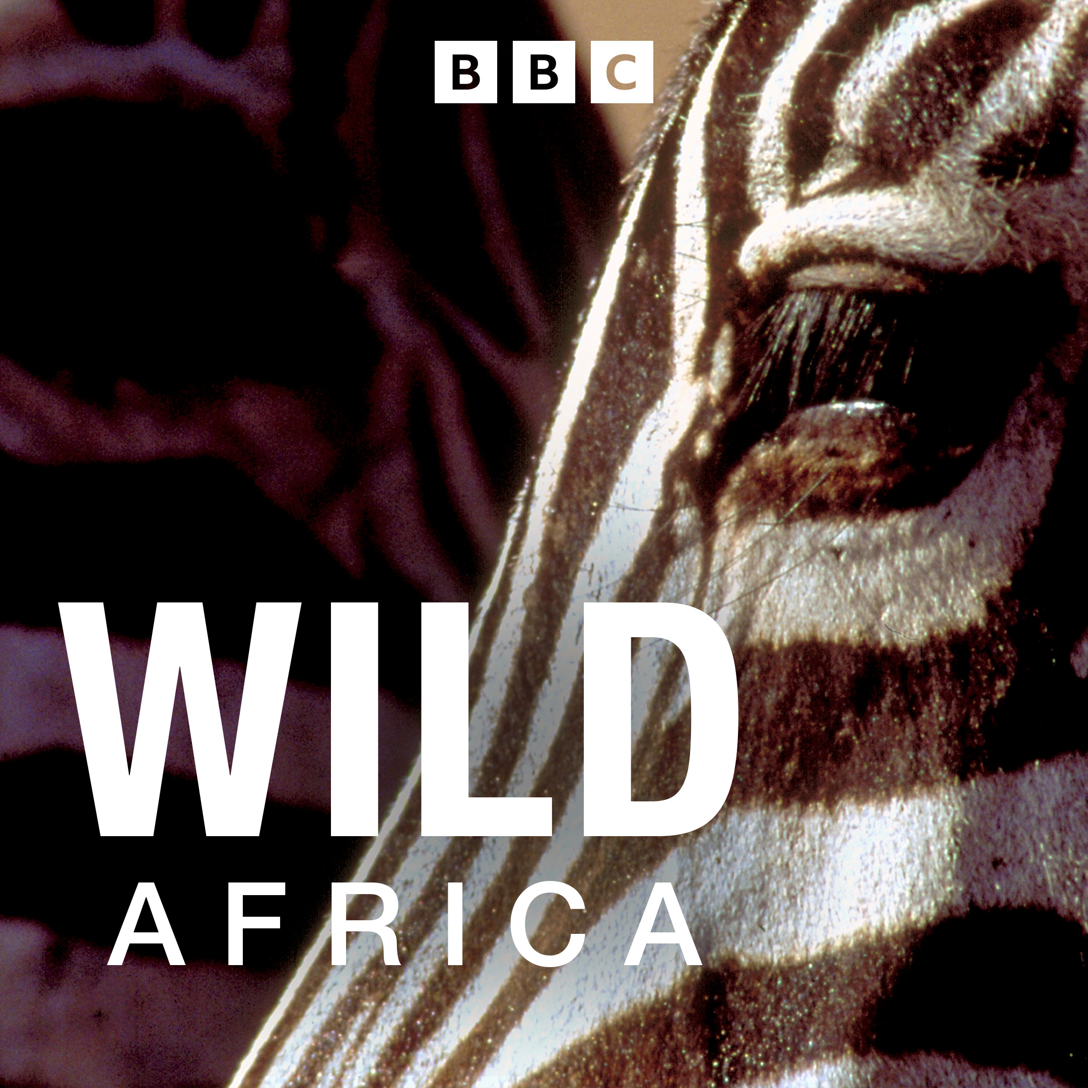 Wild Africa