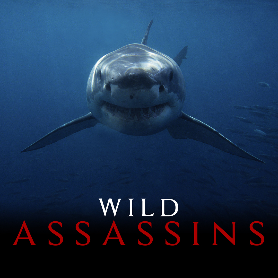 Wild Assassins