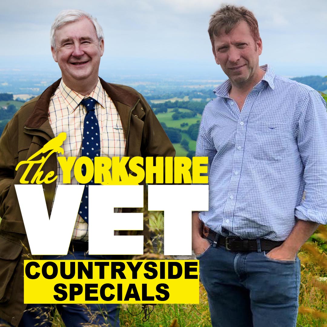 The Yorkshire Vet Countryside Specials