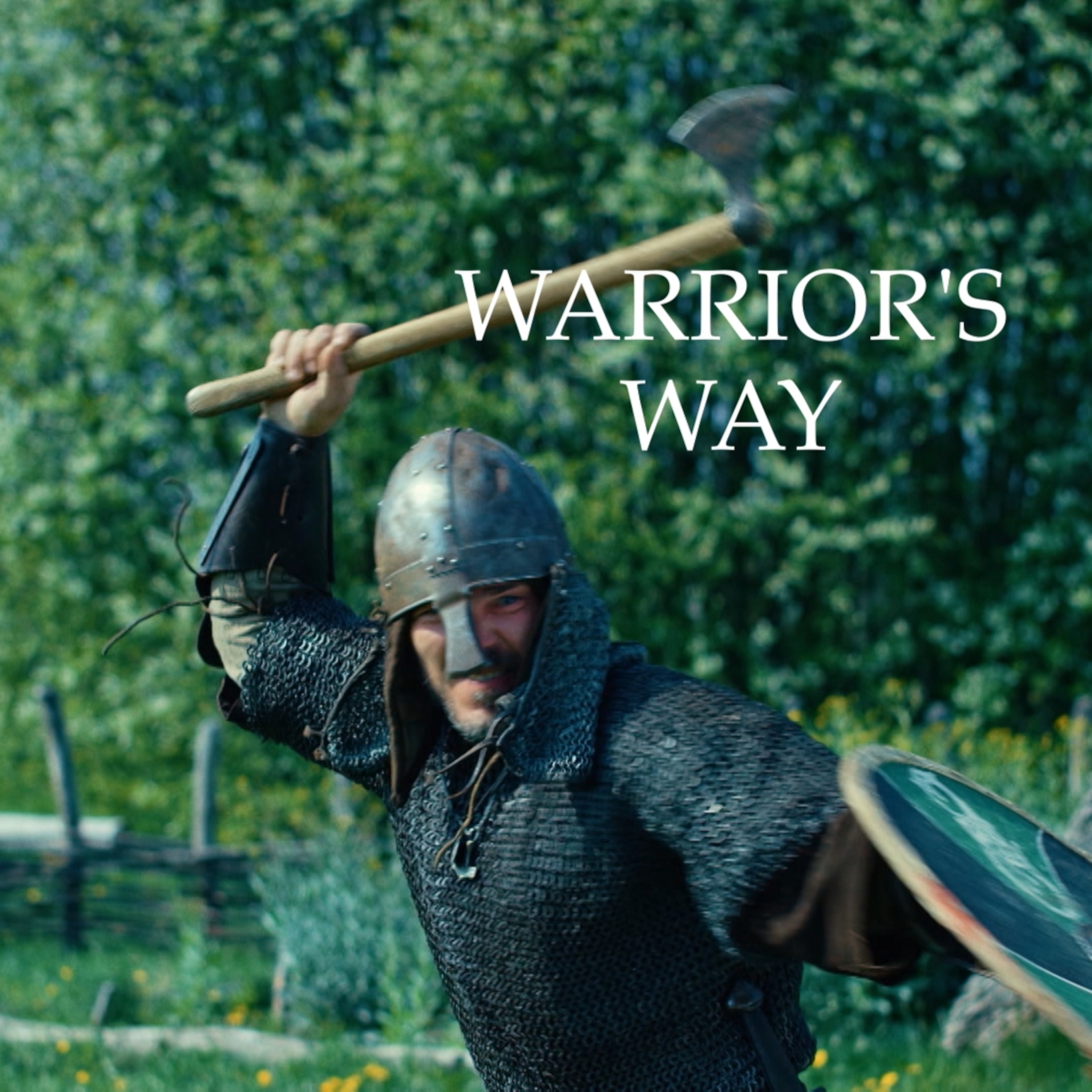 Warriors Way