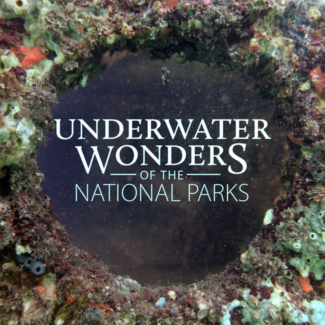 Underwater Wonders Of The National Parks