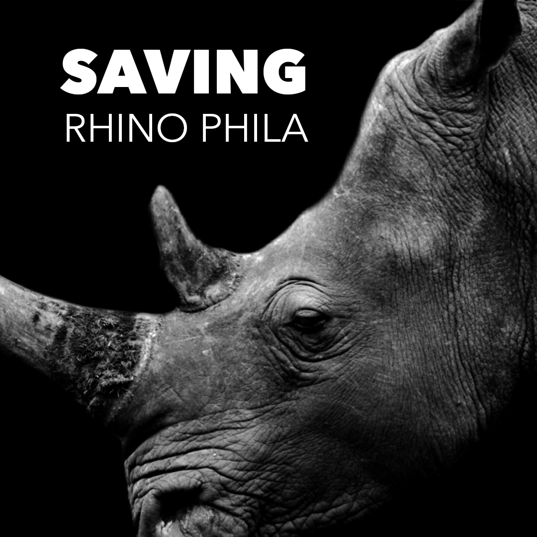 Saving Rhino Phila