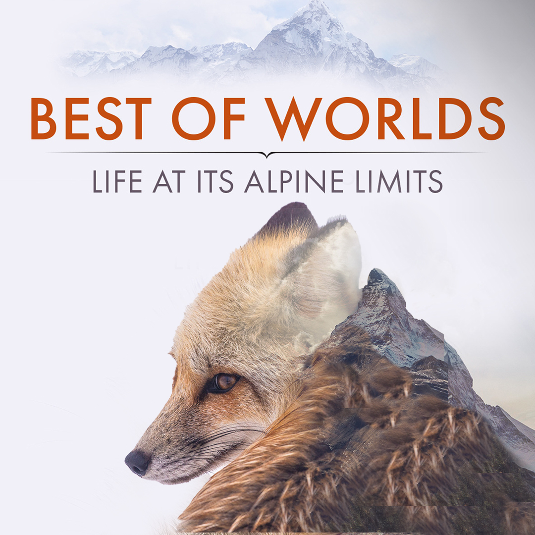 THE BEST OF WORLDS: LIFE AT ITS ALPINE LIMITS