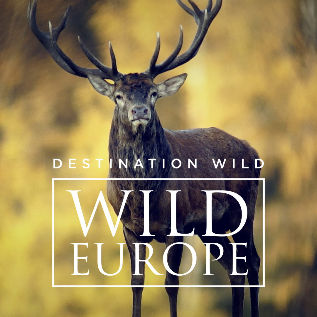 Destination Wild: Wild Europe
