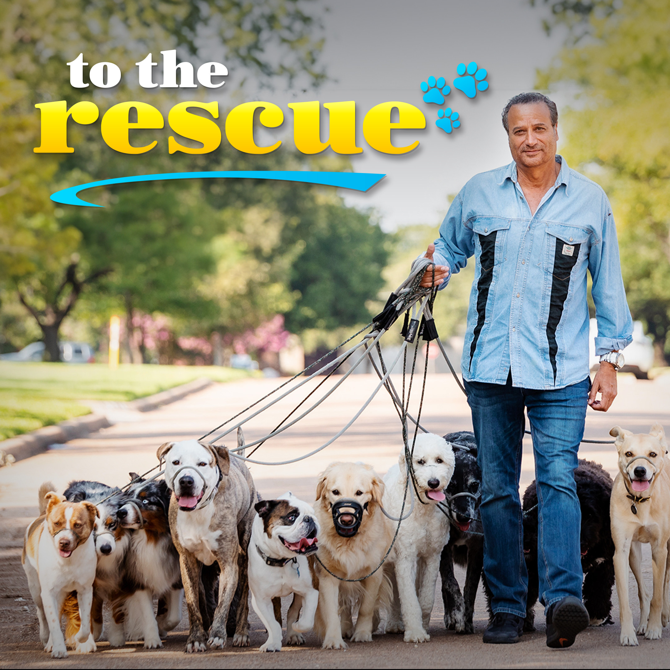 To The Rescue