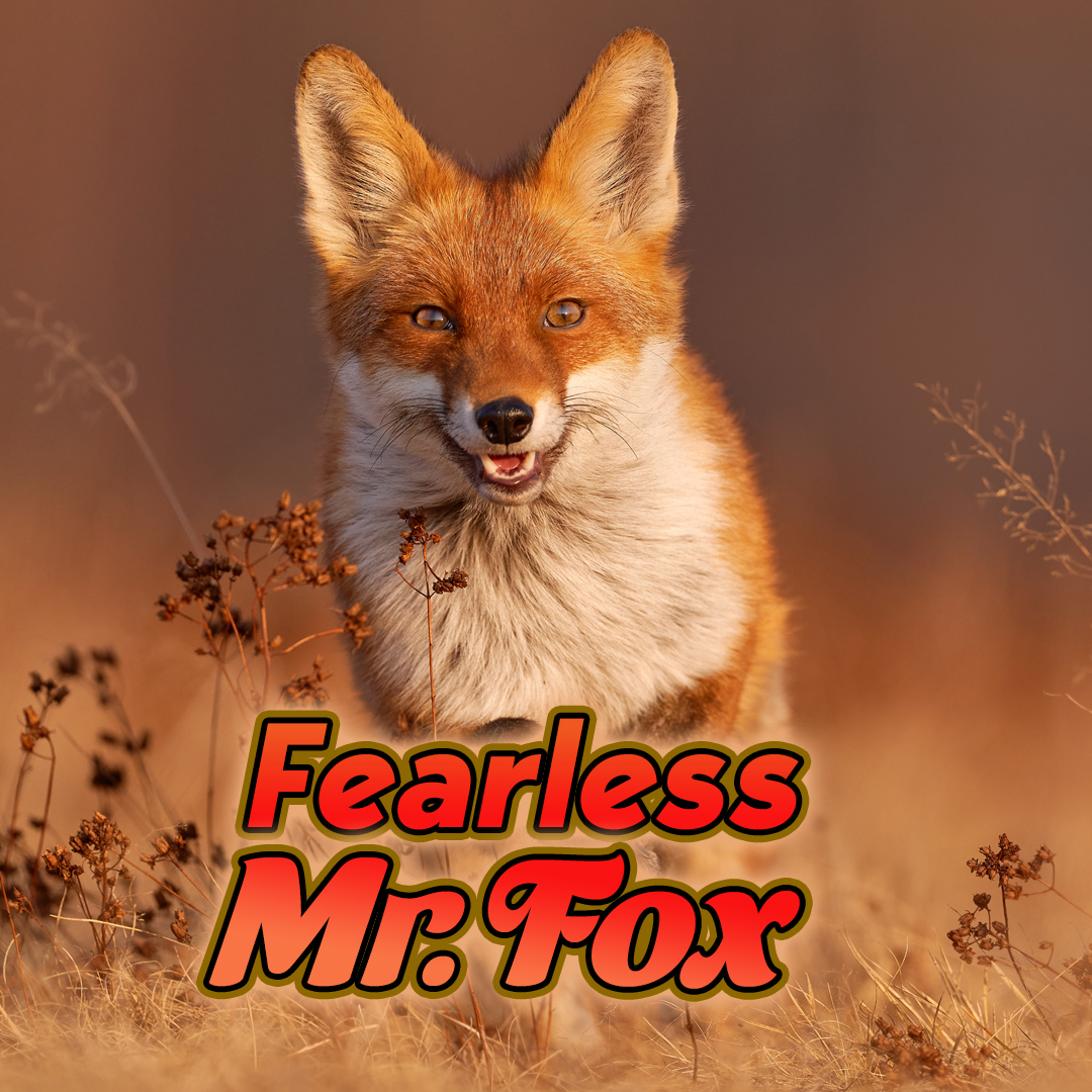 Fearless Mr Fox