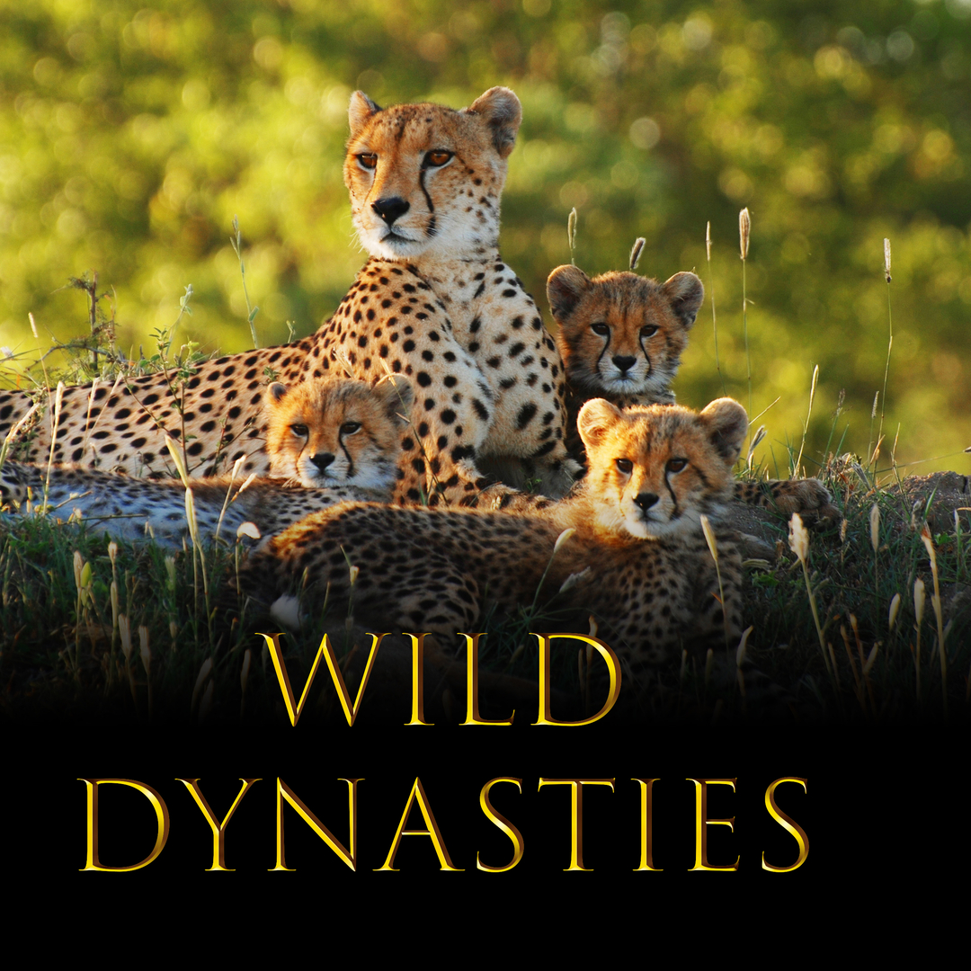 Wild Dynasties