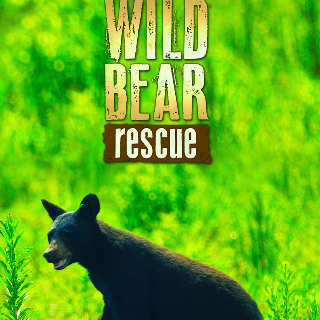 Wild Bear Rescue