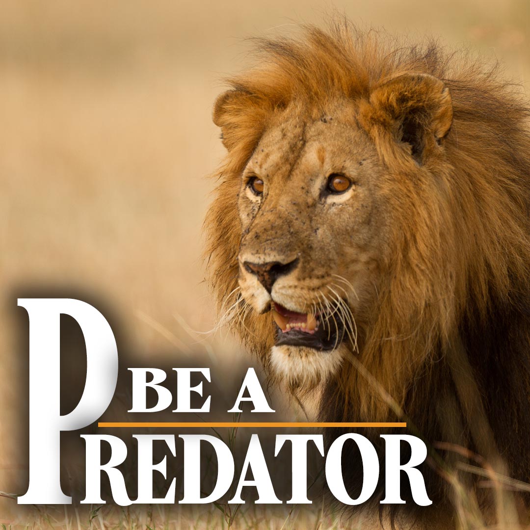 Be a Predator