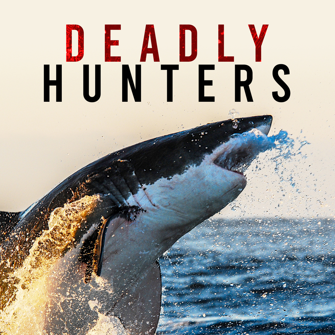 Deadly Hunters