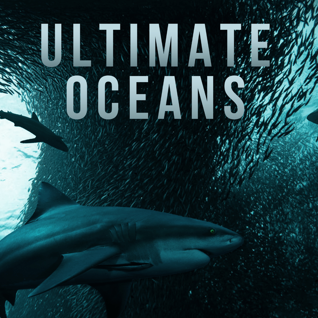 Ultimate Oceans
