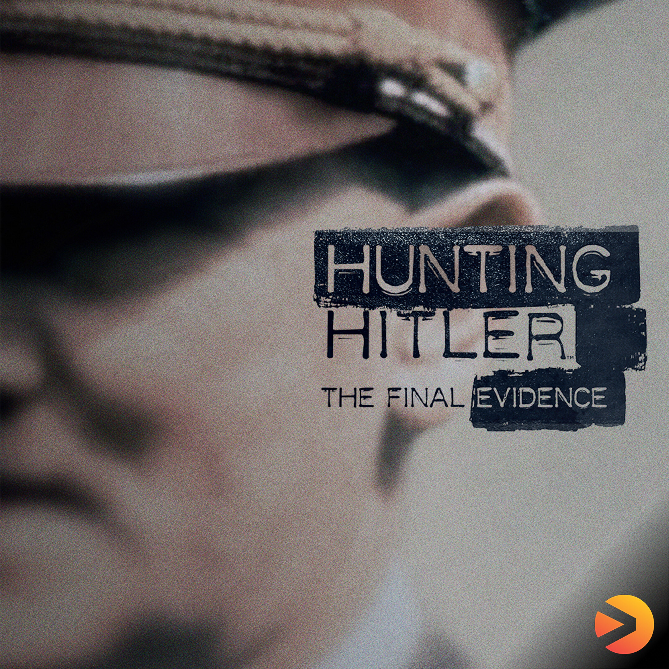 Hunting Hitler