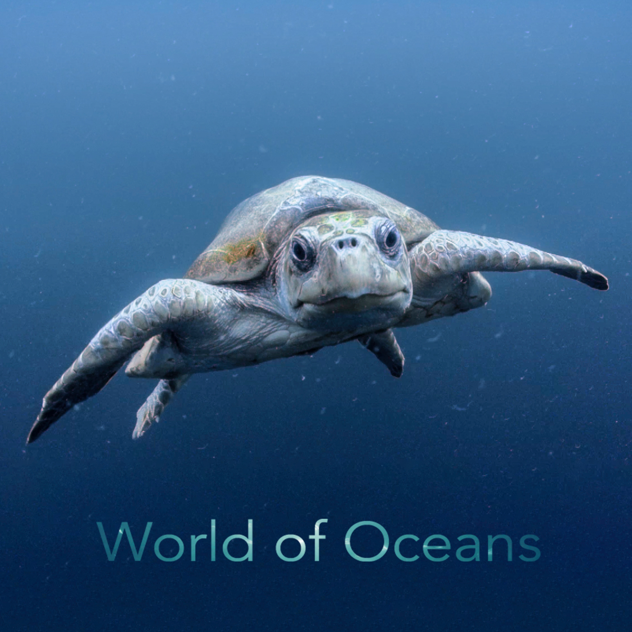 World of Oceans