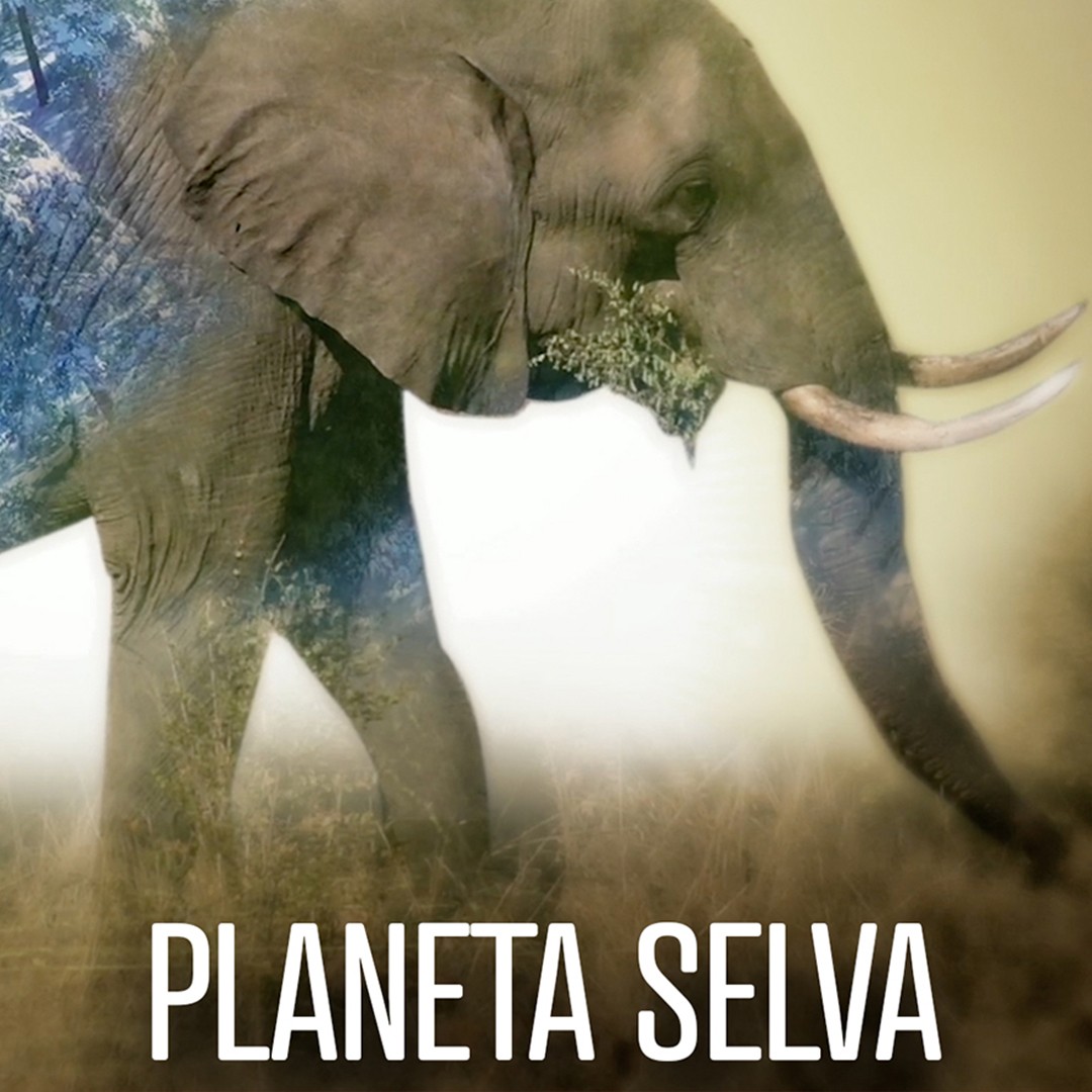 Planeta Selva