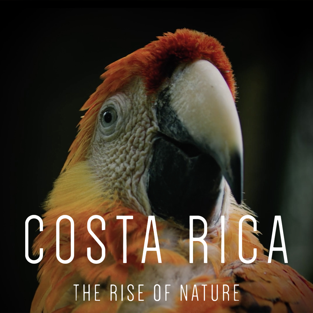 Costa Rica: The Rise of Nature