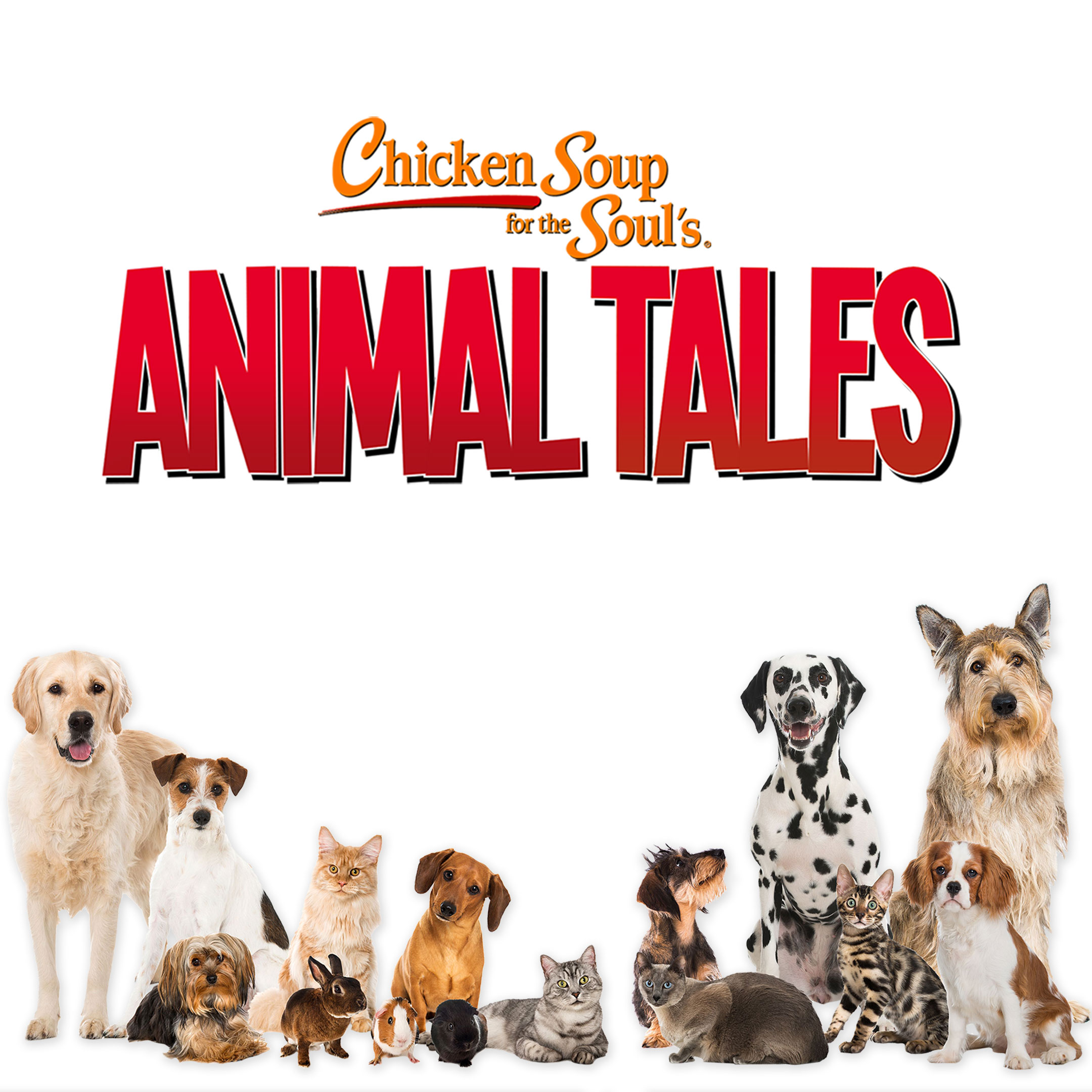 Chicken Soup for the Soul's Animal Tales