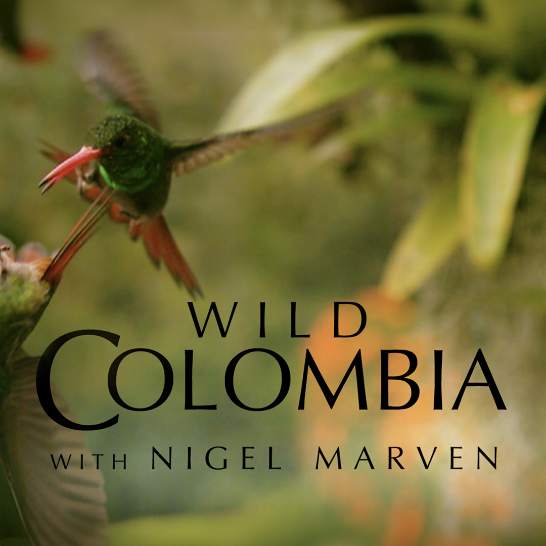 Wild Colombia With Nigel Marven