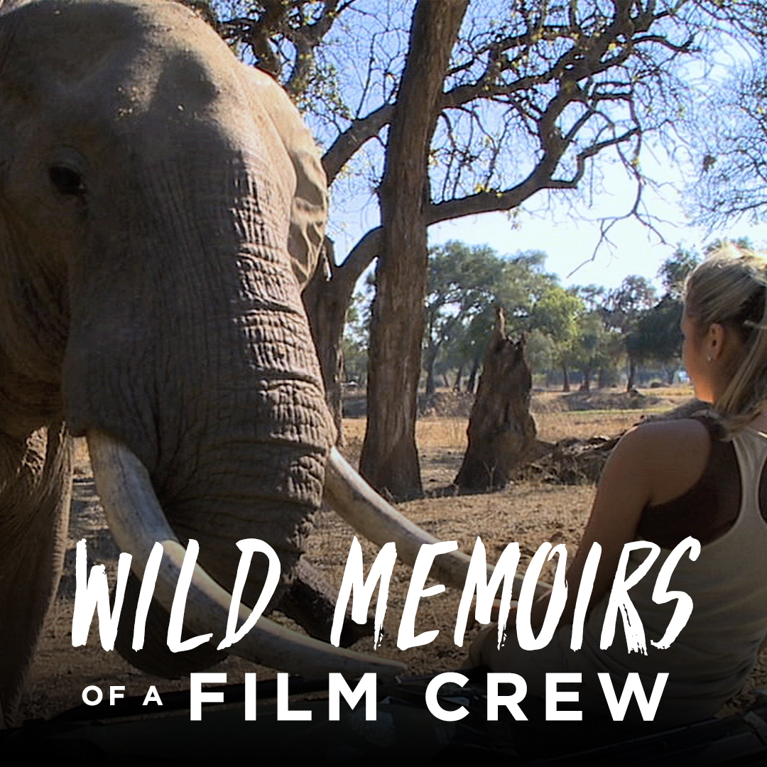 Wild Memoirs of a Film Crew