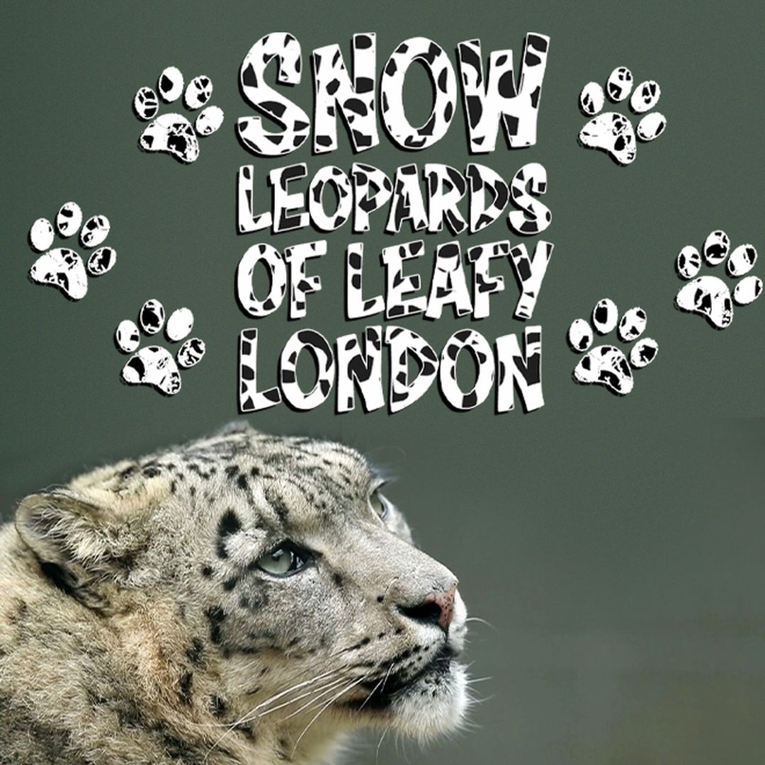 Snow Leopards of Leafy London