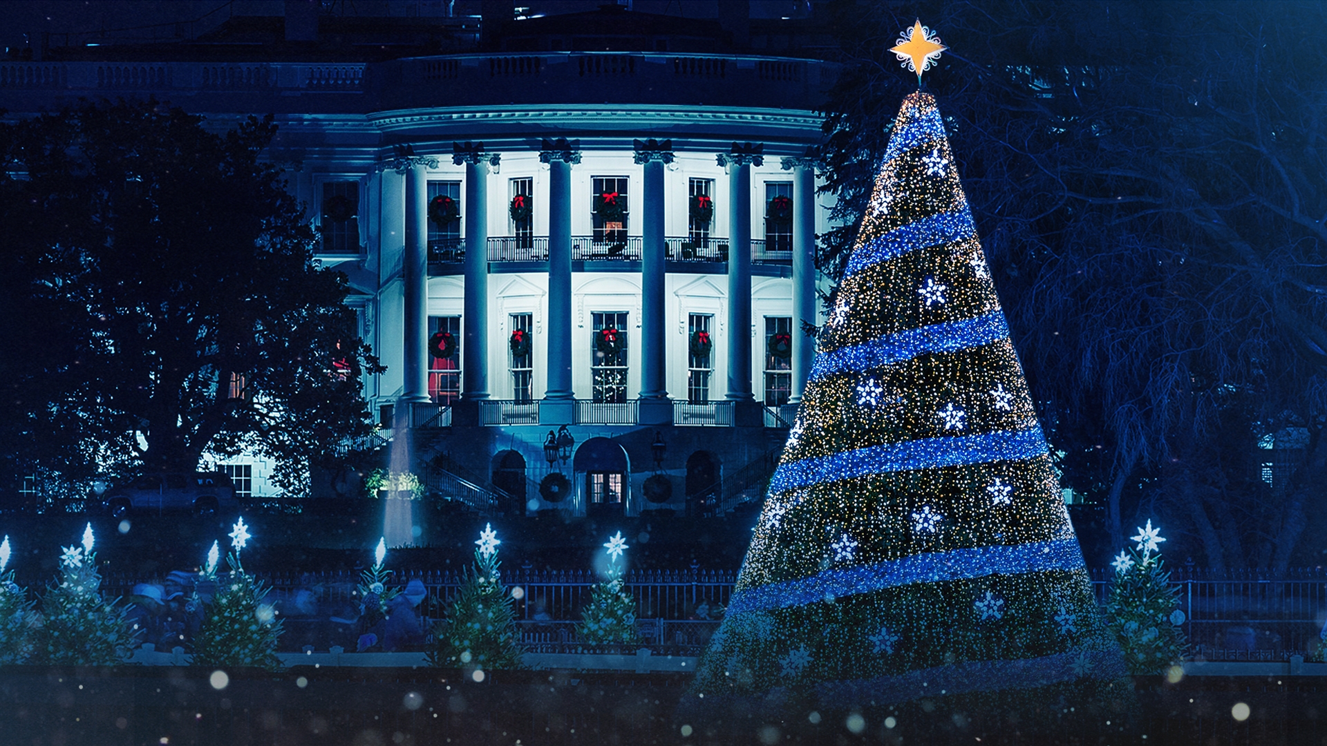 The National Christmas Tree Lighting Season 2025 Pluto TV
