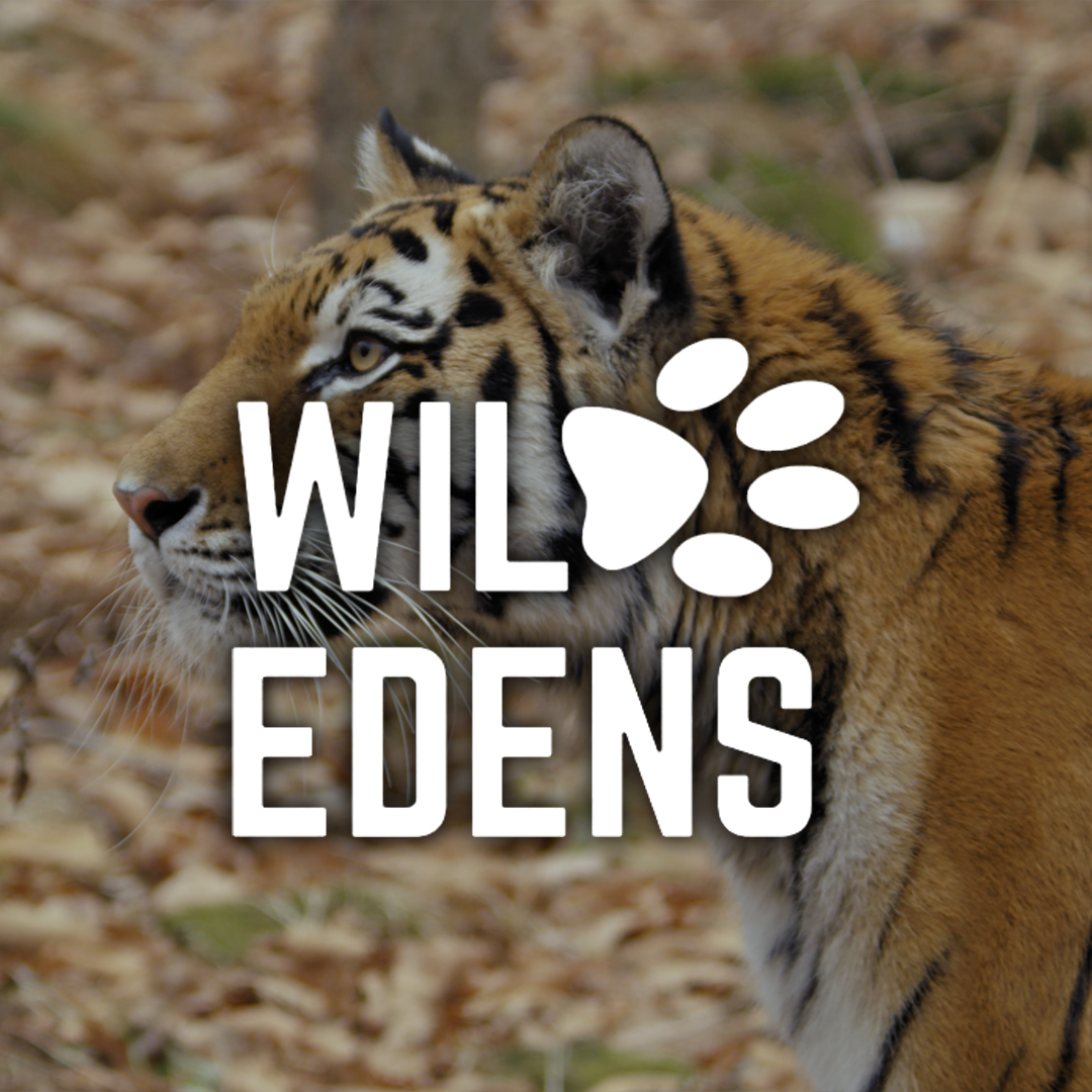 Wild Edens