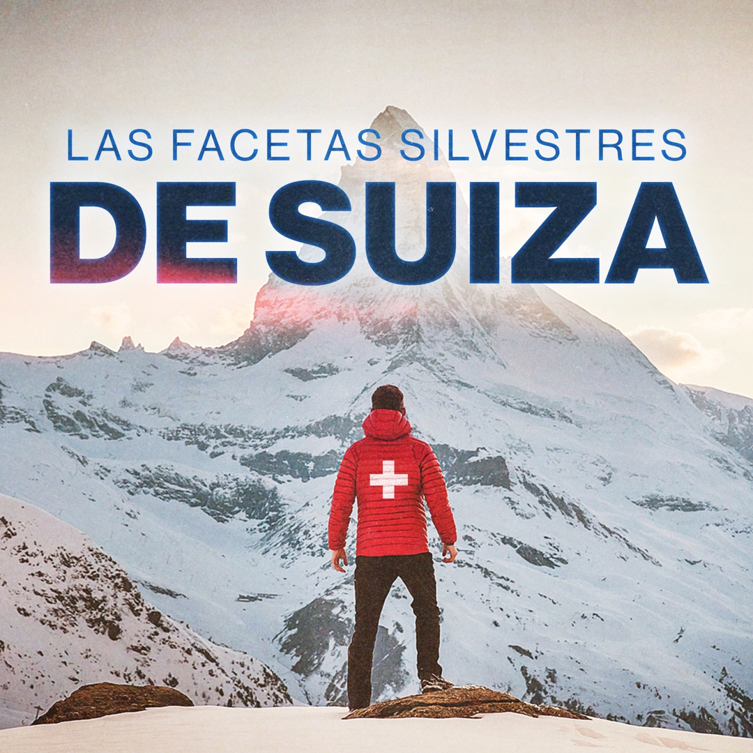 Las facetas silvestres de Suiza