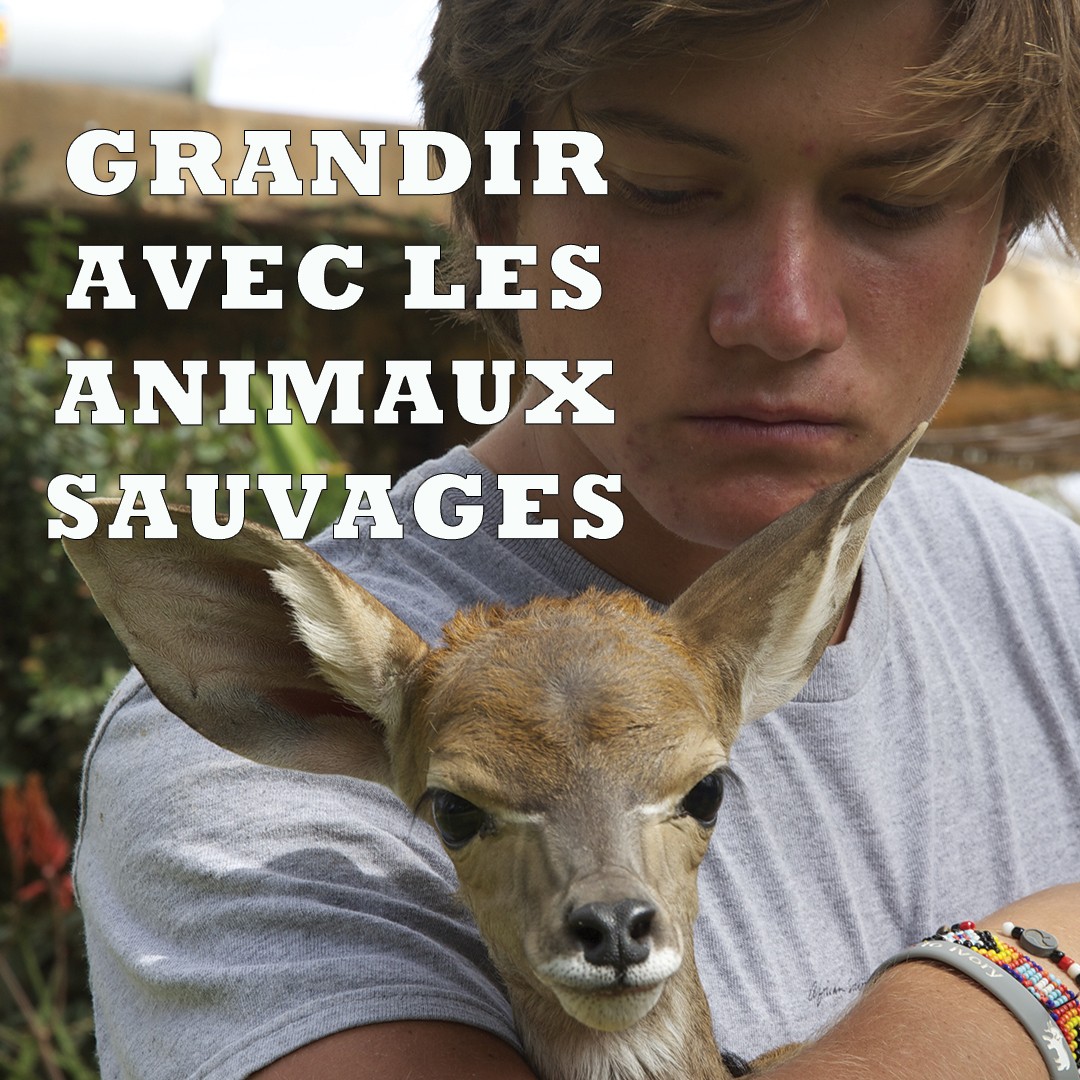 Grandir avec les animaux sauvages