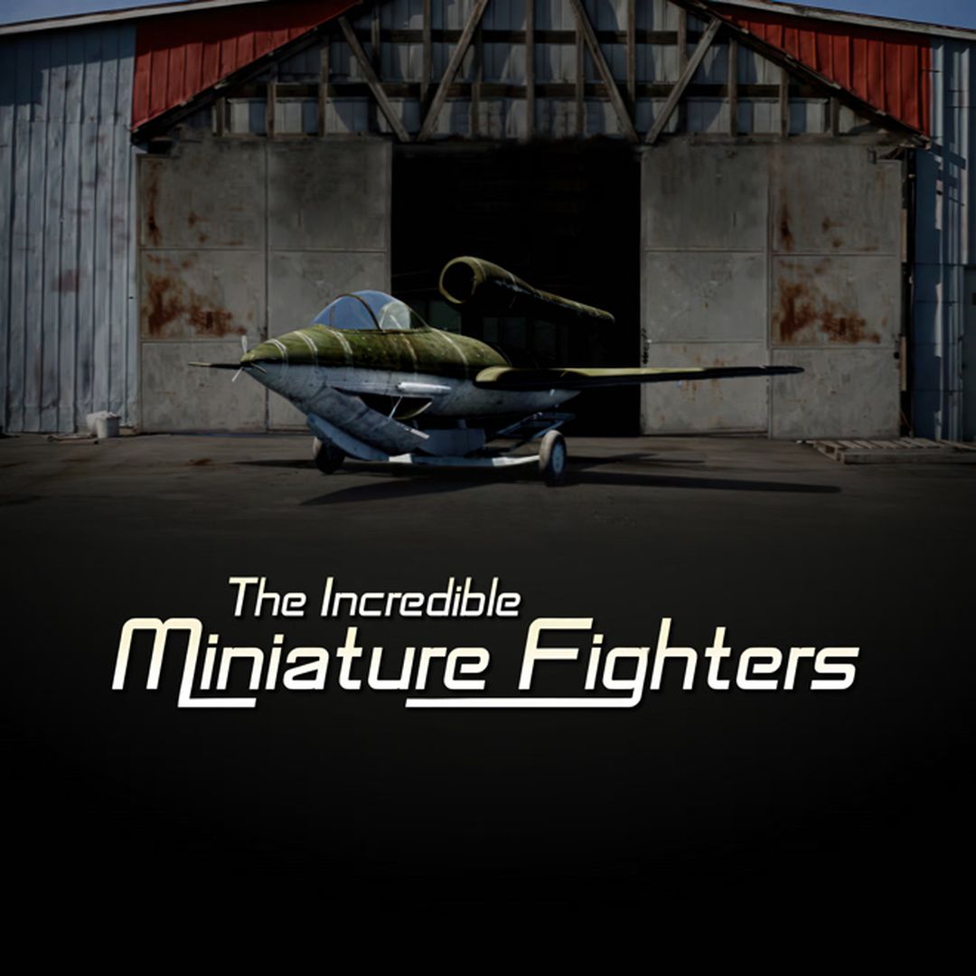 The Incredible Miniature Fighters