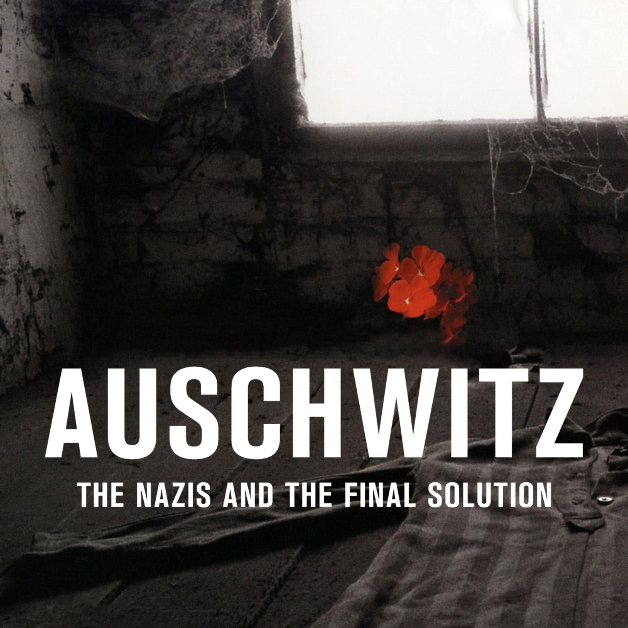 Auschwitz: The Nazis and the Final Solution