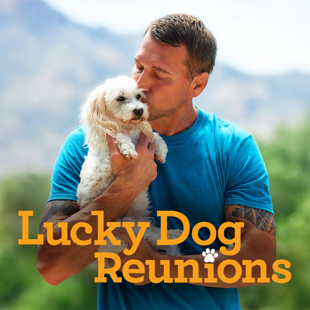 Lucky Dog Reunions