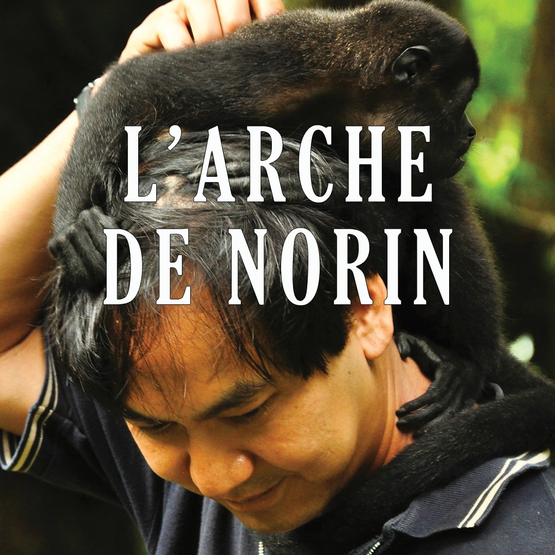 L'arche de Norin