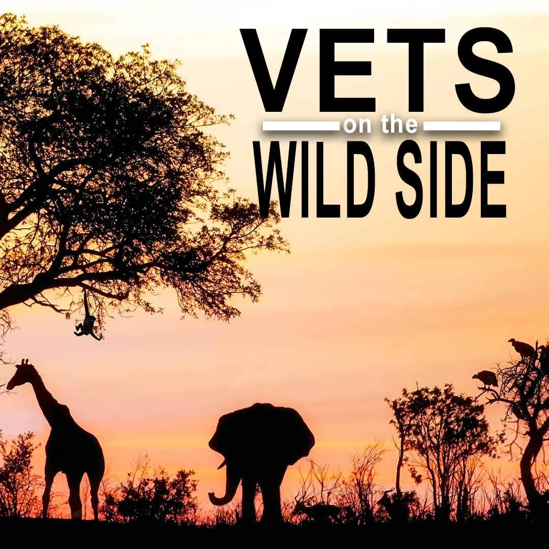 Vets on the Wild Side