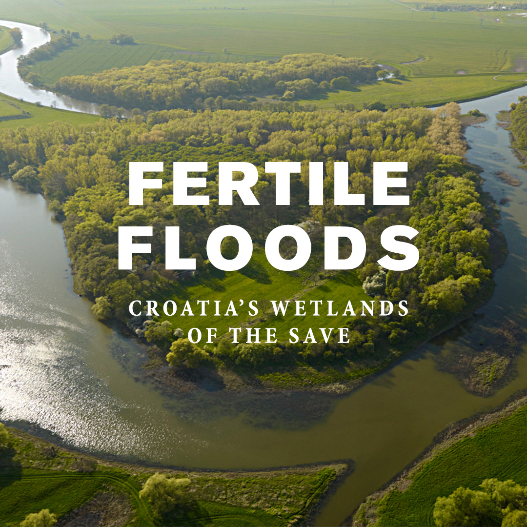 Fertile Floods: Croatia's Wetlands Of The Save