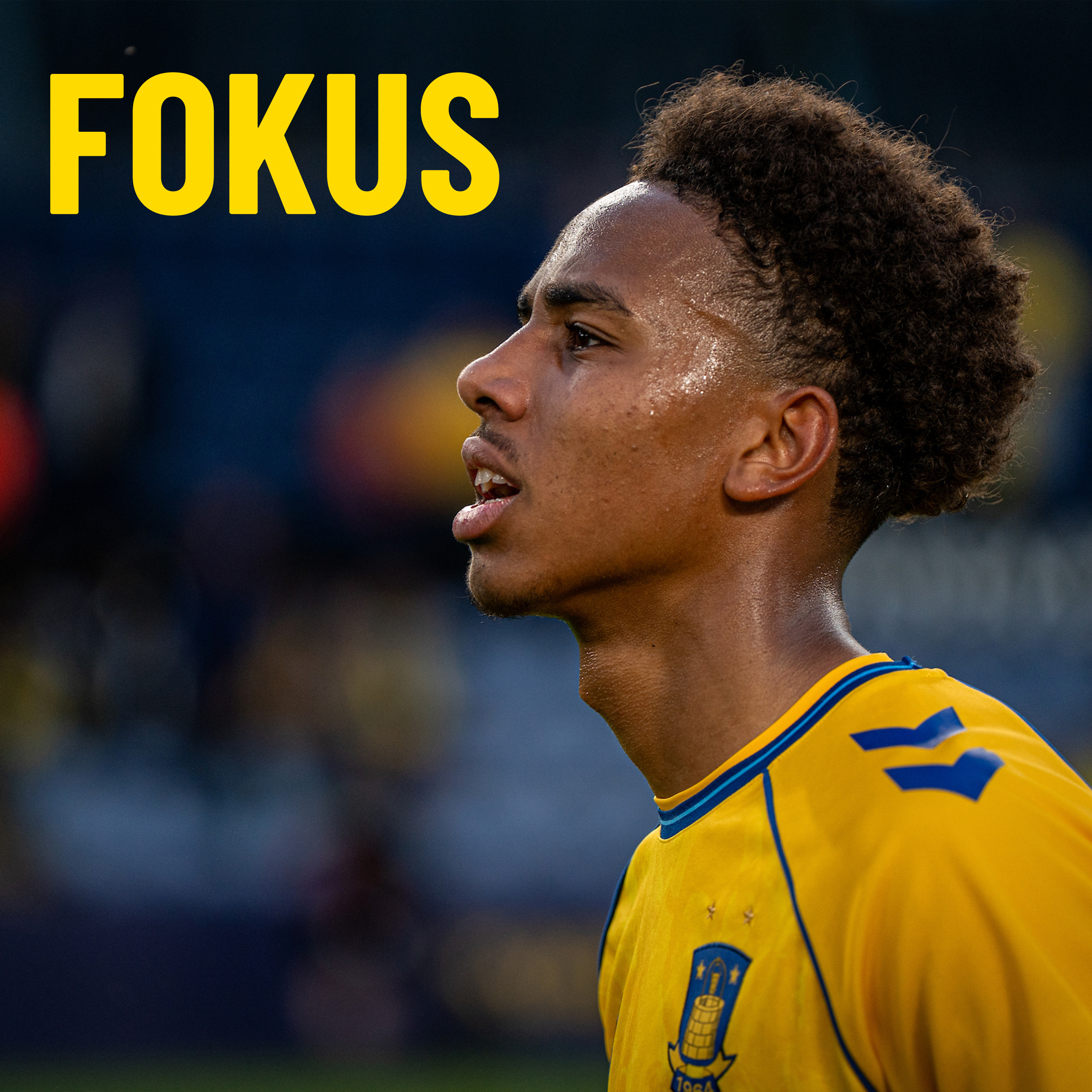 Fokus