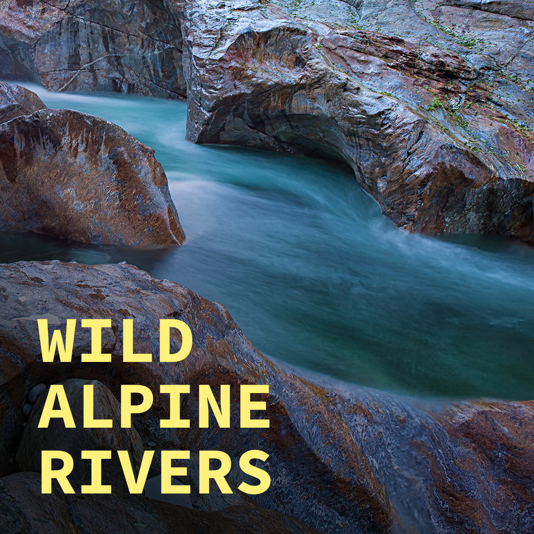 Wild Alpine Rivers