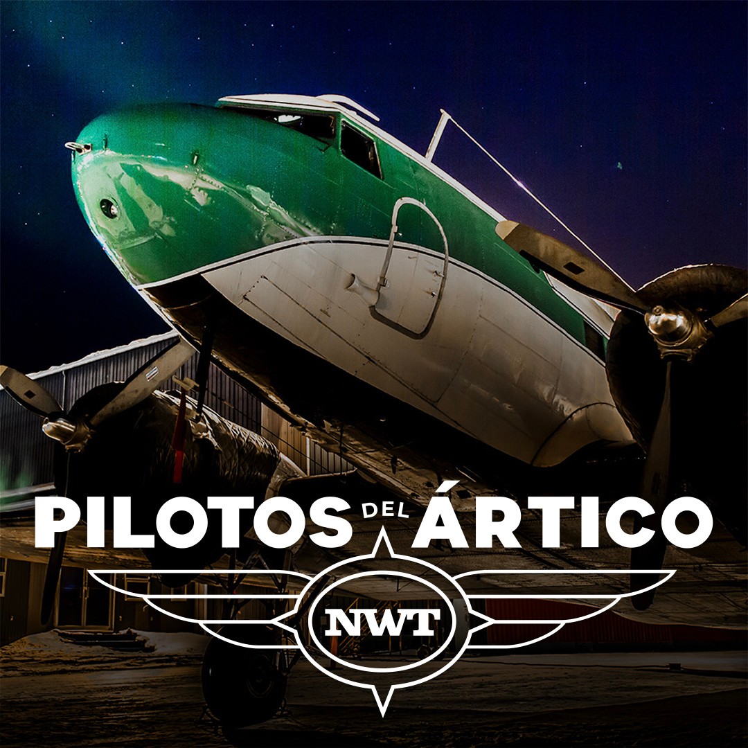 Pilotos Del Ártico