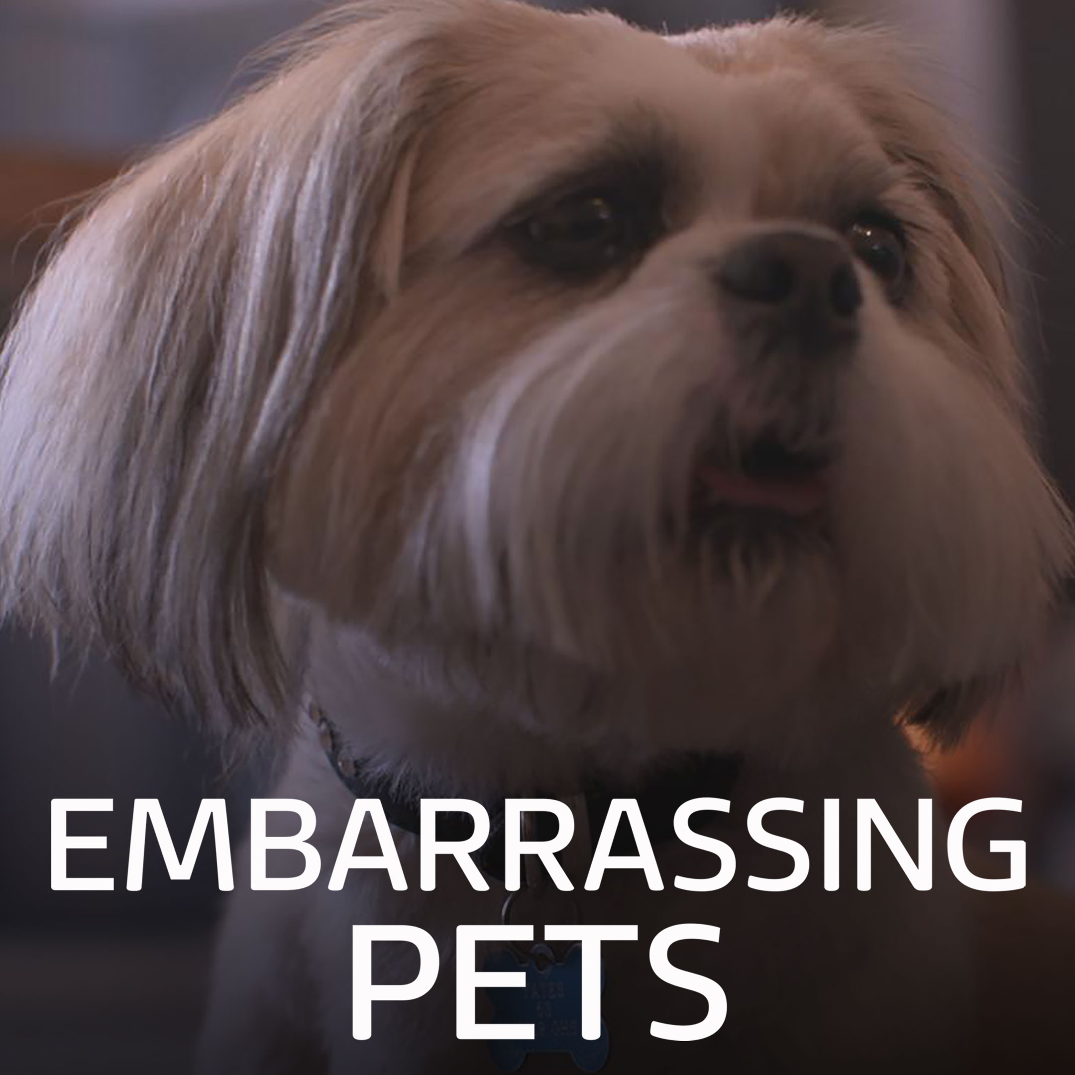Embarrassing Pets