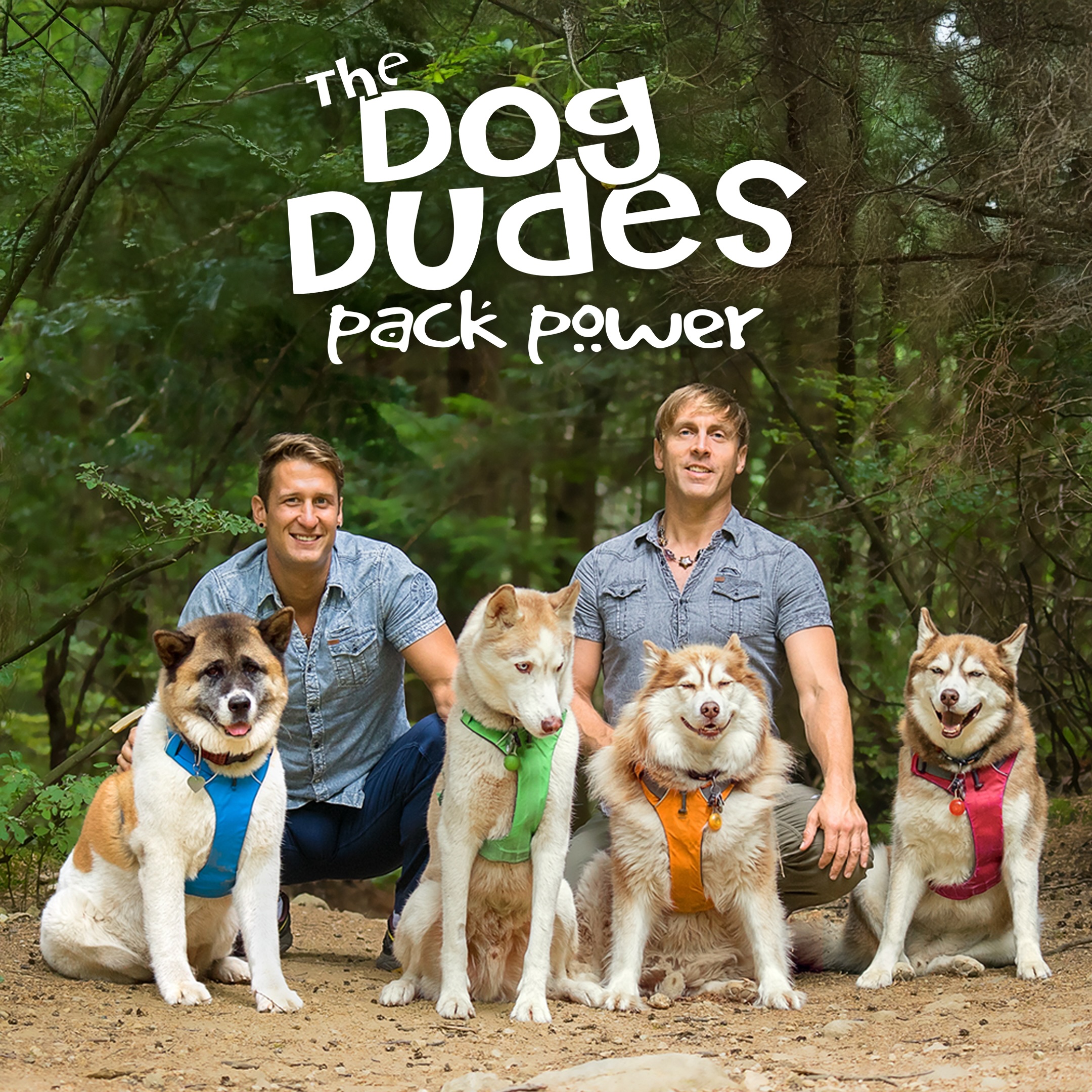 The Dog Dudes: Pack Power