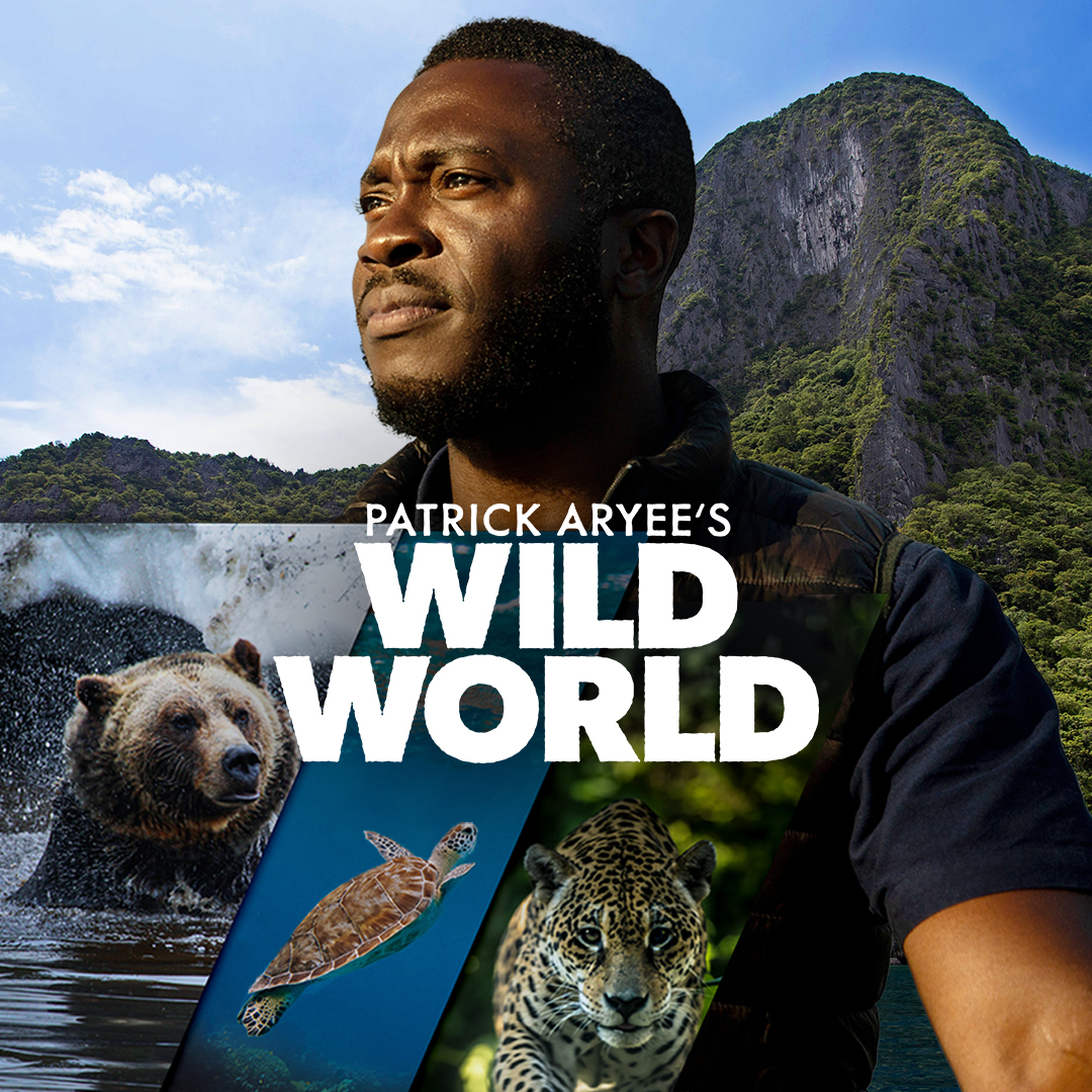 Patrick Aryee's Wild World